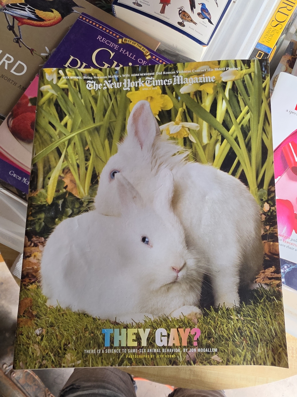 White Rabbit Poster - Cover